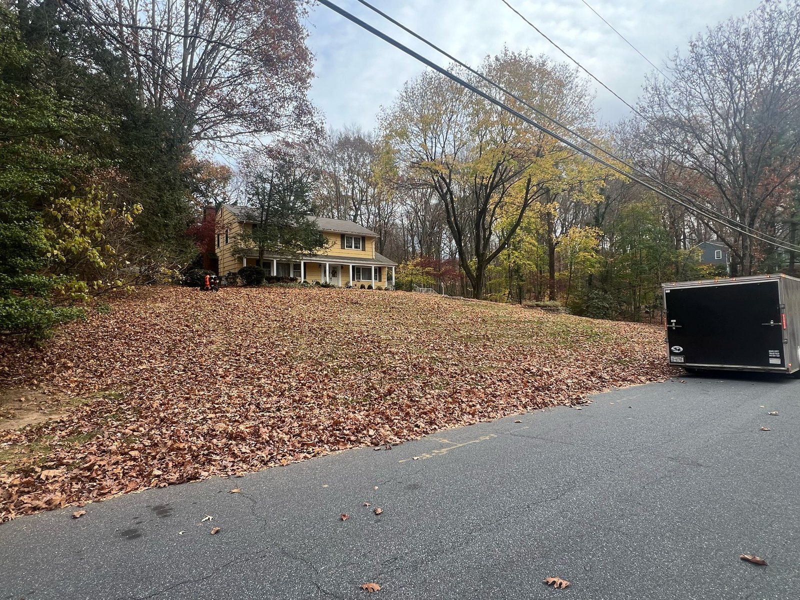cleanup5 – Sloped front yard completely blanketed in leaves before professional cleanup at a two-story colonial home